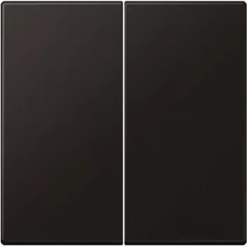 Jung tecla para interruptor de série LS995SWM (LS995SWM)