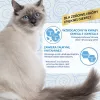 INABA Churu Skin&Coat Receita de Frango – Petiscos para gatos – 4x14 g