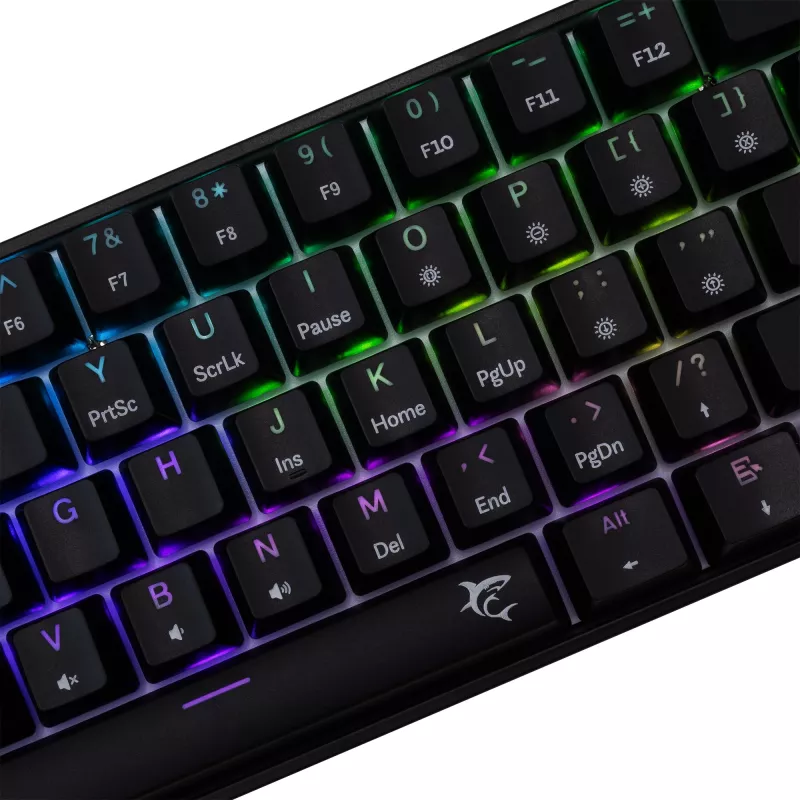Teclado mecânico White Shark Shinobi-2 Blue Switch preto layout US
