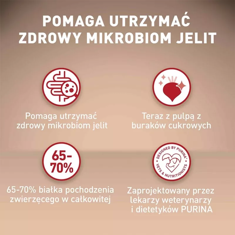 Purina One Mini Adult alimento seco para cães com carne de bovino e arroz, 800 g