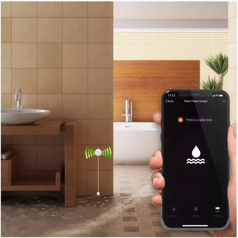 Sensor de inundação Tellur WiFi AAA branco – detetor de água sem fios, a pilhas (AAA)