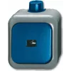 BUSCH JAEGER 2621 WDI - 1P - Verde - Cinzento - 250 V - 74 mm - 54 mm - 80 mm
