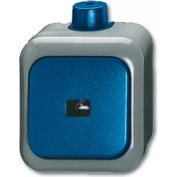 BUSCH JAEGER 2621 WDI - 1P - Verde - Cinzento - 250 V - 74 mm - 54 mm - 80 mm