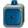 BUSCH JAEGER 2621 WDI - 1P - Verde - Cinzento - 250 V - 74 mm - 54 mm - 80 mm