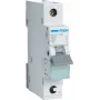Hager MCS125. Corrente nominal: 25 A. Tipo: característica C, número de módulos (máx.): 1 módulo(s). Largura: 17,5 mm, Profundidade: 70 mm, Altura: 83,4 mm (MCS125)