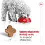 Comida seca para cães Royal Canin Mini Adult 8+ 2 kg — raças pequenas 5–10 kg, aves, fórmula de controlo de peso