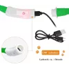 Coleira LED Anicoll verde para cães e gatos modelo iluminação recarregável