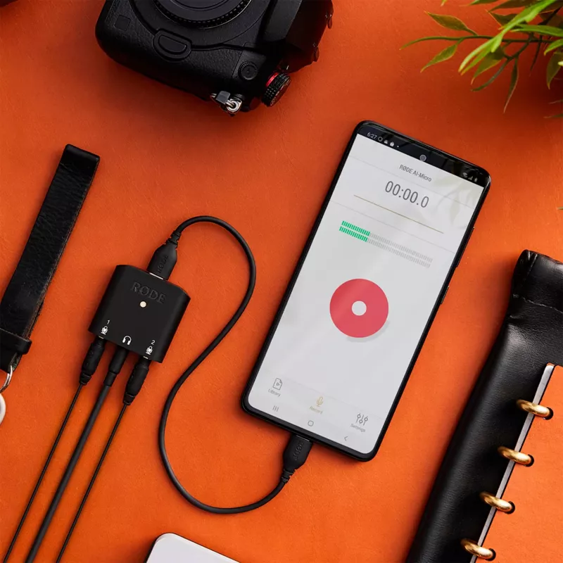 Rode SC22 Cabo USB-C para USB-C, 30cm (SC22)