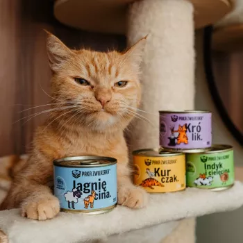 PAKA ZWIERZAKA coelho - alimento húmido para gatos - 200g