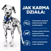 HILL'S Prescription Diet Urinary Care Original - comida húmida para cães - 370g