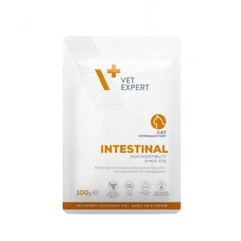 VetExpert Veterinary Diet Intestinal Cat alimento húmido para gatos 100 g