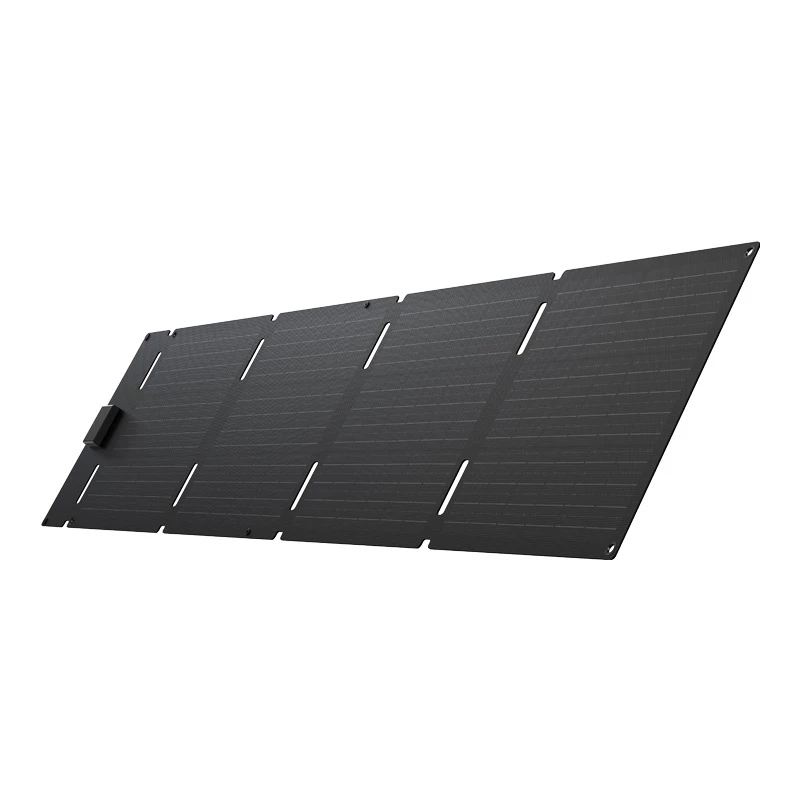 Painel solar dobrável portátil EcoFlow 60W (USB-C)