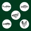 Eden Original Cousine ração seca para gatos, 10 kg