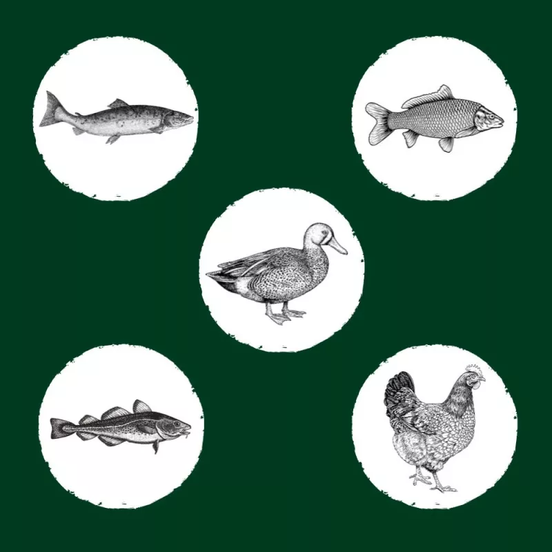 Eden Original Cousine ração seca para gatos, 10 kg