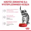 Royal Canin FHN Kitten Sterilised alimento húmido para gatos em molho, embalagem de 12 x 85 g