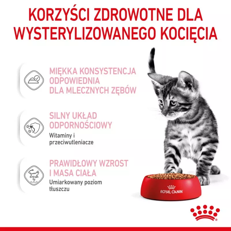 Royal Canin FHN Kitten Sterilised alimento húmido para gatos em molho, embalagem de 12 x 85 g