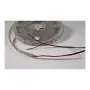 Synergy 21 Fita Flex LED 5050 - 60 WW DC12V 72W IP20
