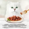 Purina comida húmida para gatos 85 g