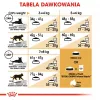 Royal Canin Bengal Adult ração seca para gatos, 2 kg, aves e legumes