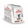 Comida húmida para gatos Royal Canin Gastrointestinal 85 g saqueta — carne, 12 x 85 g, gatos adultos, em caso de problemas gastrointestinais