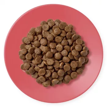 APPLAWS Adult Chicken com Pato - Alimento seco para gatos - 400 g