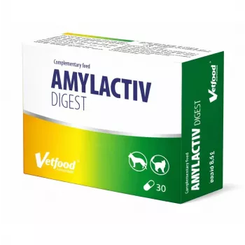VETFOOD Amylactiv digest para cães e gatos 30 cápsulas