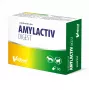VETFOOD Amylactiv digest para cães e gatos 30 cápsulas