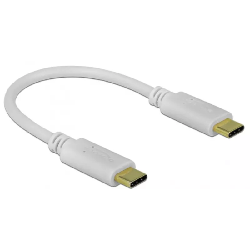 Delock - Cabo USB-C/alimentação - conector macho USB-C de 24 pinos para conector macho USB-C de 24 pinos - 5 A - 15 cm - USB Power Delivery (100 W), suporta Power Delivery 2.0 - branco (85357)