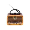Rádio analógico BLOW RA10 AM/FM Solar 77-540 — recetor AM/FM com painel solar e bateria de reserva