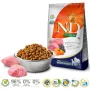 FARMINA N&D Pumpkin Lamb&Blueberry Adult Medium & Maxi - Alimento seco para cães - 12 kg
