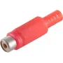 Conector de cabo RCA vermelho ShiverPeaks BS51500-R