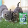 Comida húmida para gatos VETEXPERT RAW PALEO Adult Sterilised caça 100 g — caça, sem cereais, para tendência a excesso de peso