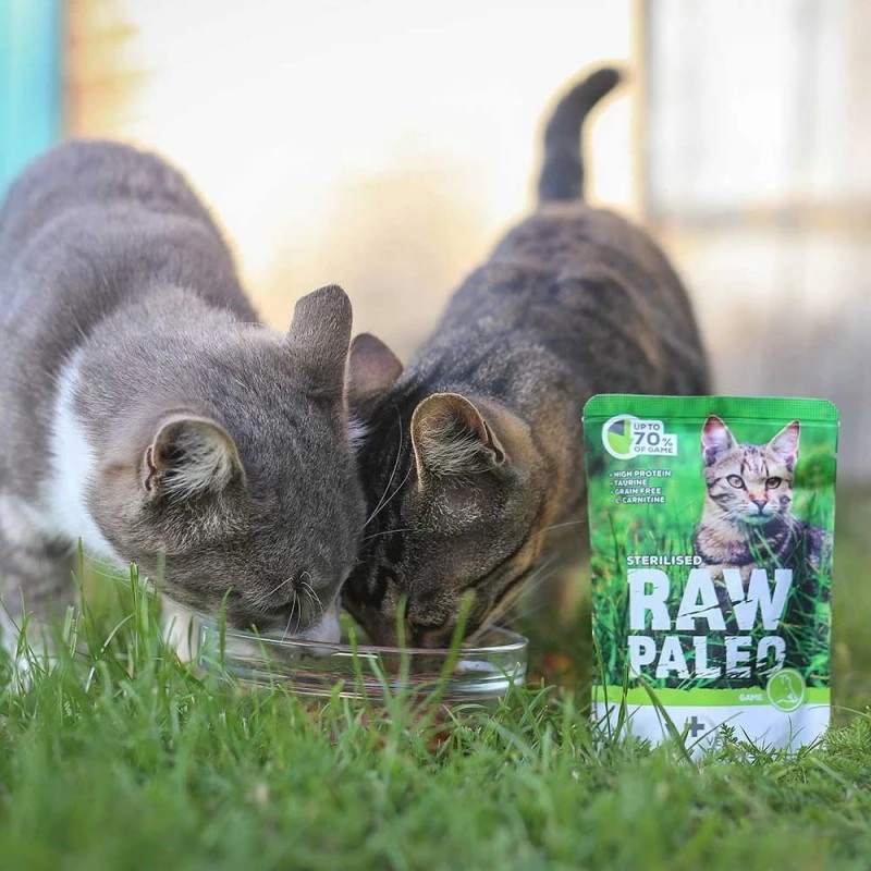 Comida húmida para gatos VETEXPERT RAW PALEO Adult Sterilised caça 100 g — caça, sem cereais, para tendência a excesso de peso