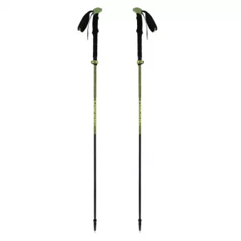 Bastões para adulto VIKING Terve 2.0 Trekking verde UNI