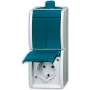 Busch-jaeger 2CKA001684A0324 azul