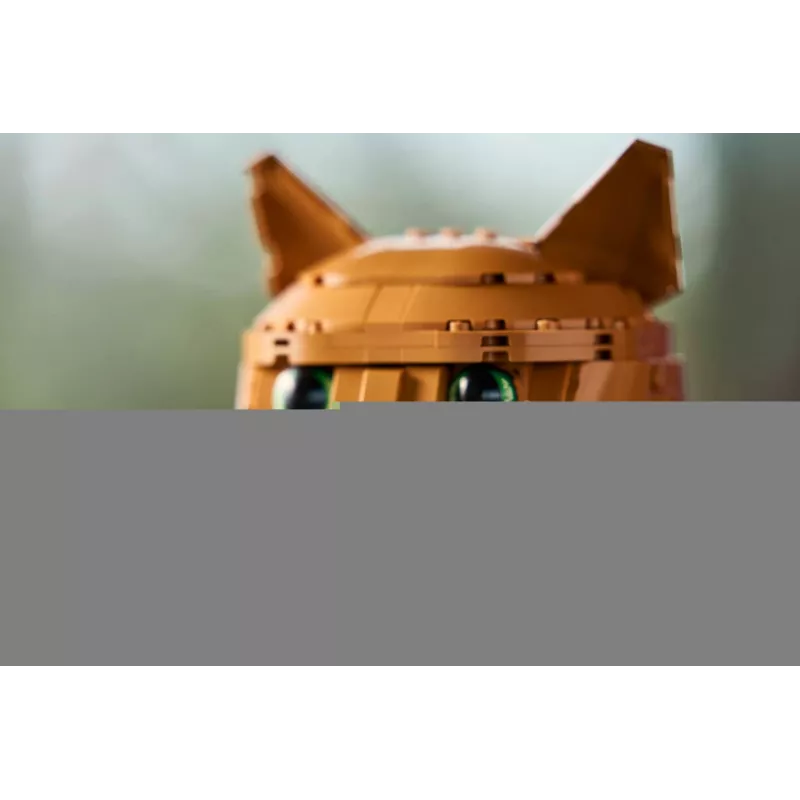 LEGO IDEAS 21376 Gato laranja