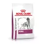 ROYAL CANIN Veterinary Renal Ração seca para cães - 2 kg
