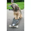 Longboard Muuwmi Lights GLOW ABEC 7 com rodas luminosas, preto/verde