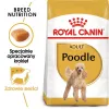 Royal Canin Poodle Adult ração para cães, 1,5 kg
