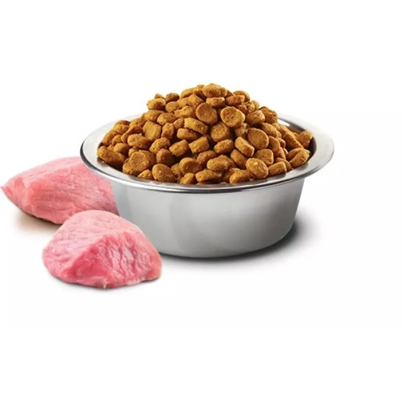 Farmina Pet Food ração seca para cães 2,5 g Adult Chicken