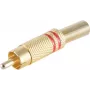 shiverpeaks BS52020-R conector de fio RCA dourado (BS52020-R)