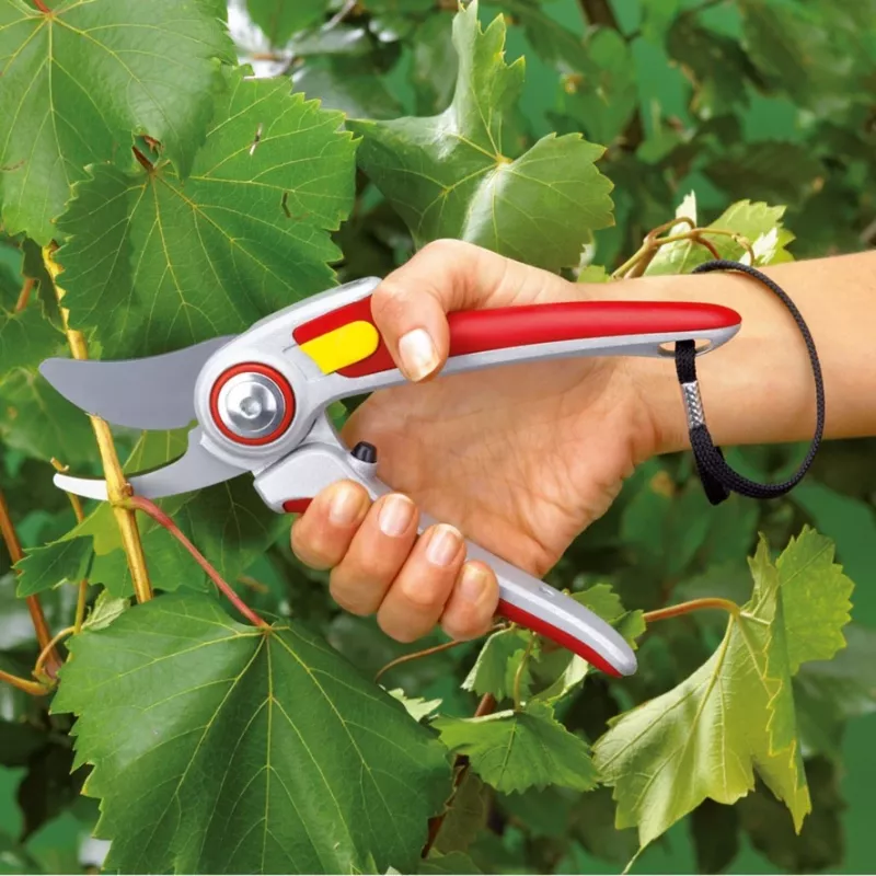 Corta-relvas WOLF-Garten RR 5000 ALU-PROFESSIONAL