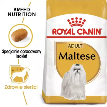 Ração seca para cães Royal Canin Maltese Adult 1,5 kg – frango, 24 % proteína, 18 % gordura
