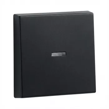 Teclas para aro de controlo Gira System 55, modelo 290005 (tecla aro de controlo)