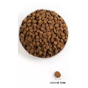 ORIJEN Regional Vermelho - ração seca para cães - 6 kg