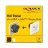 Tomada DeLOCK 11489 CEE 7/3 + USB branco 250V 16A