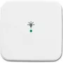 Busch-Jaeger 6220-0-0080 tampa para suporte e caixa de sensor branco (2CKA006220A0080)