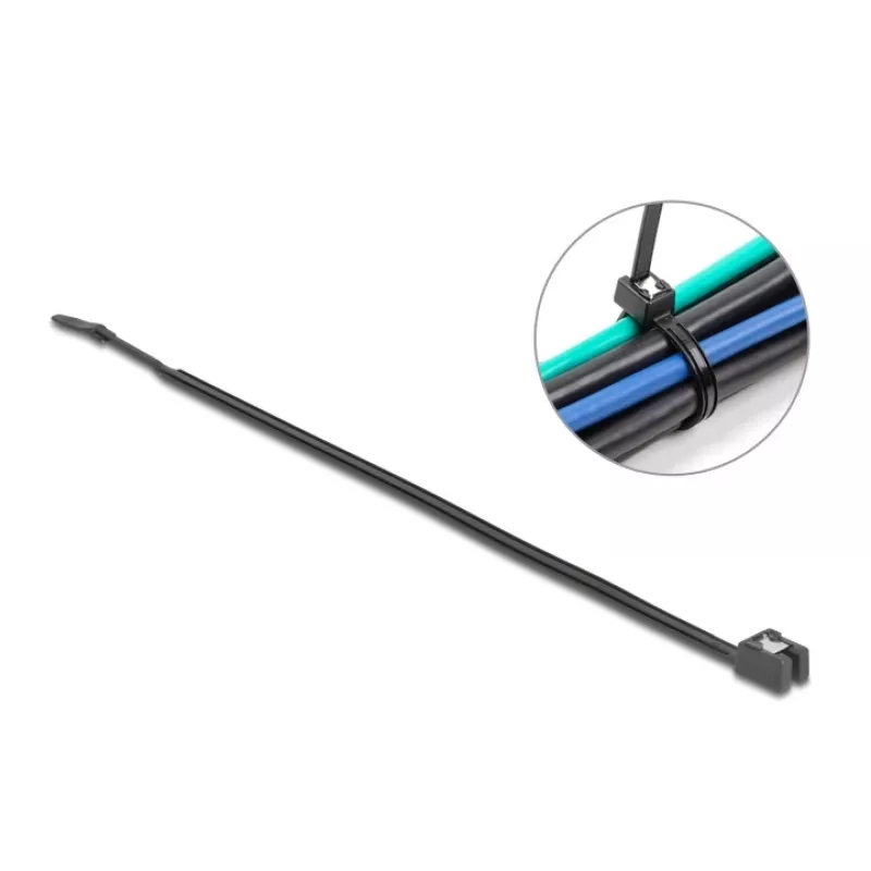 Abraçadeiras DeLOCK 200x4,8 mm 50 Unidades Preto