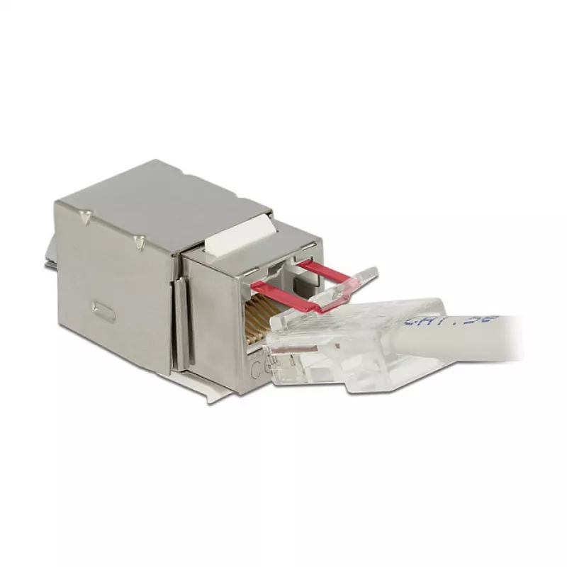 Delock 86404 módulo Keystone RJ45 Secure Cat.6 para LSA, branco