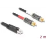 Cabo de áudio DeLOCK 2 m RJ-45 2 x RCA preto 88171